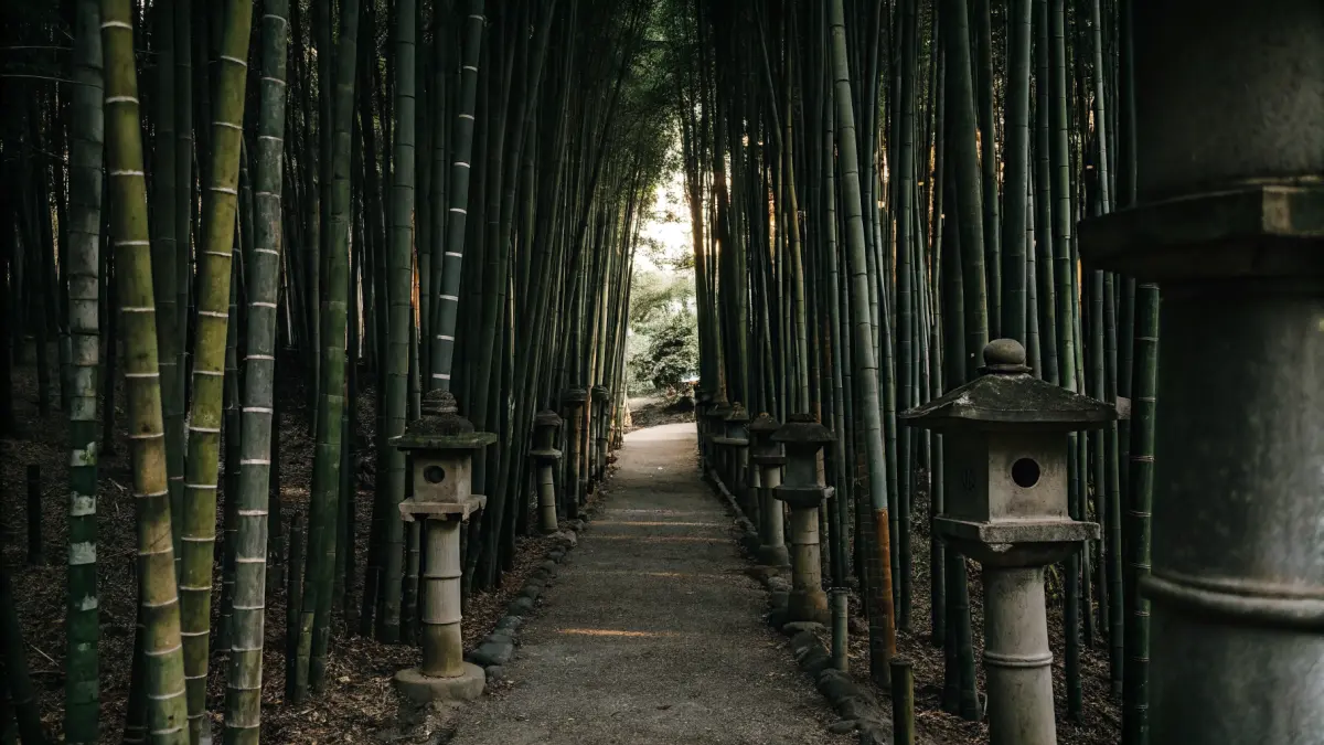 Fushimi Inari tempļa oranžie torii vārti Kioto ar ceļotāju siluetu