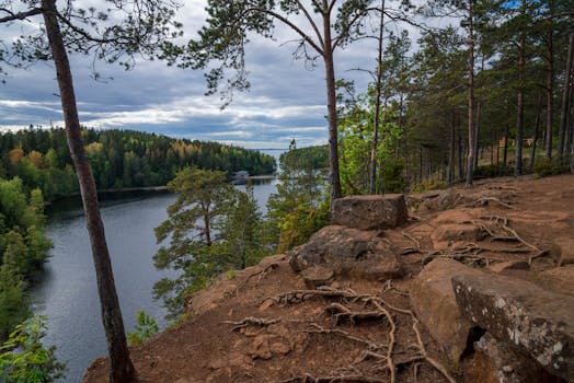 Baobabi — koki kā no pasaku grāmatas