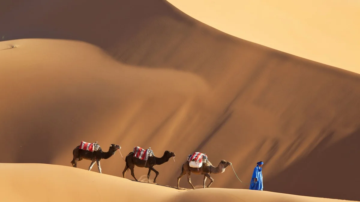 Merzouga dīnas Sahāras tuksnesī — smilšu viļņi sarkansarkanā saulrieta gaismā