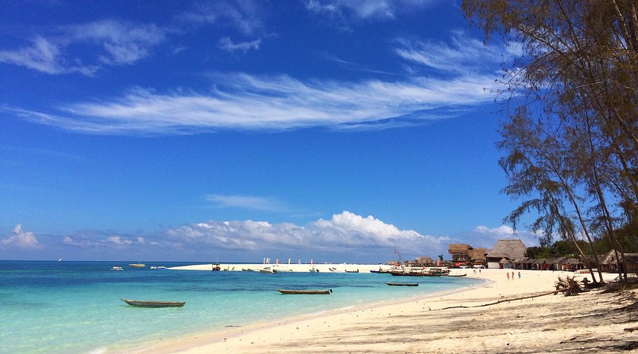 Kendva — zanzibara Kendva — zanzibara