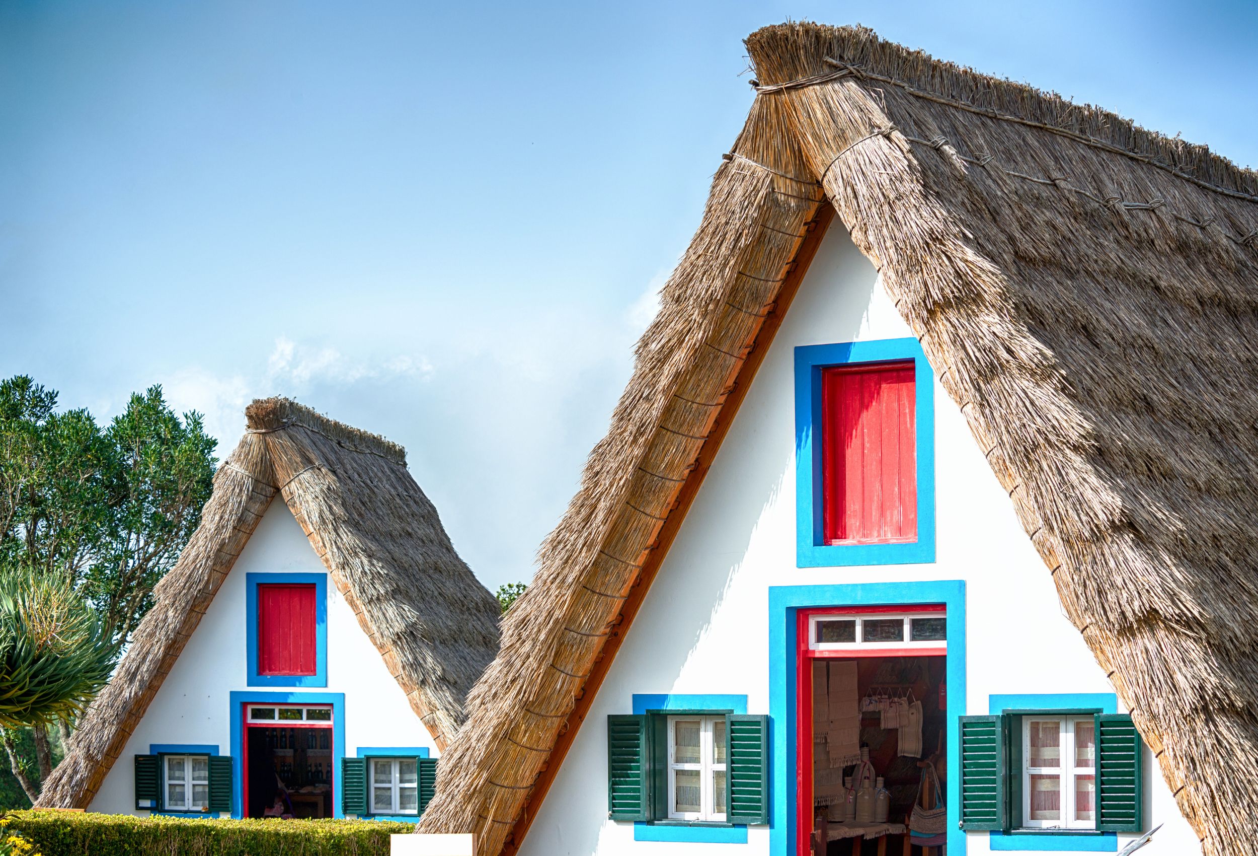 Tez Tour infortūre uz Madeiru: 04.03. – 11.03.2026.